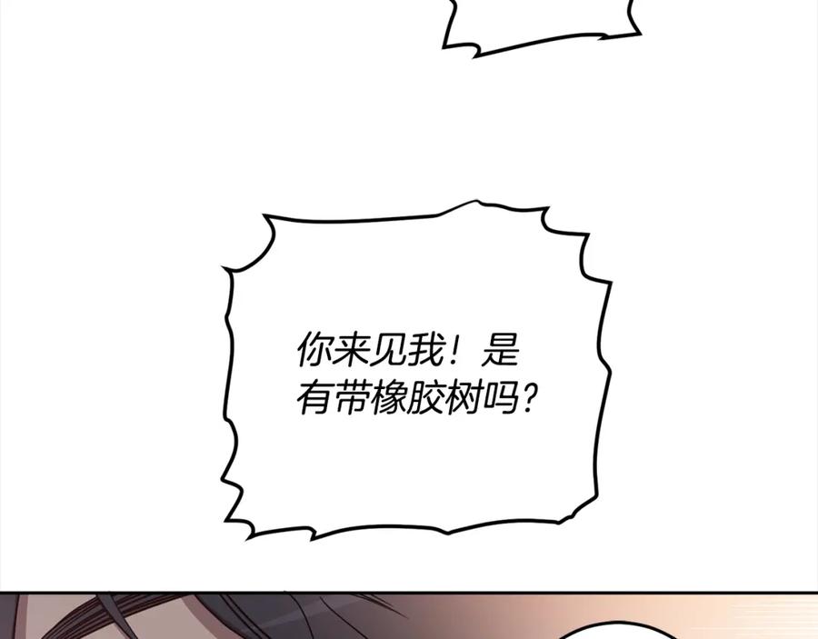 125.jpg