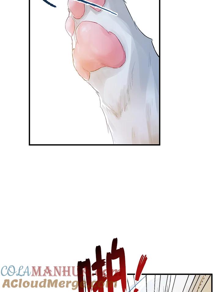 88.jpg