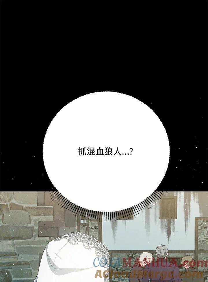 97.jpg
