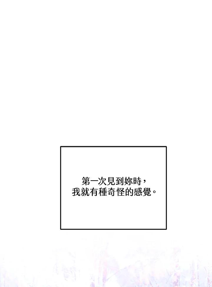 95.jpg