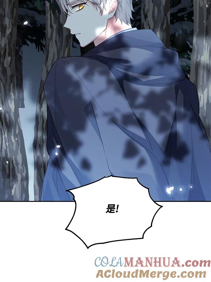 113.jpg