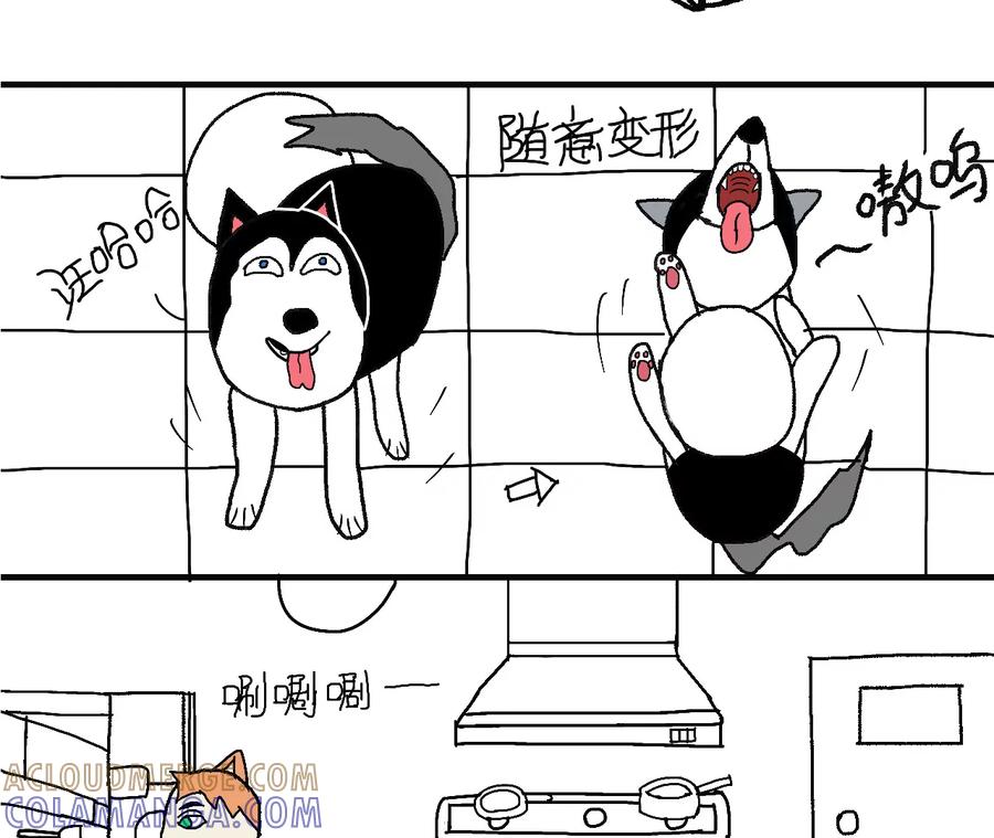 那就一起生活吧~-女作家的猫飞狗跳-苏追月（第7张）