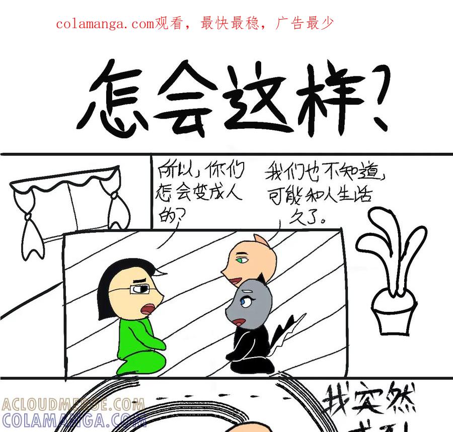 那就一起生活吧~-女作家的猫飞狗跳-苏追月（第1张）