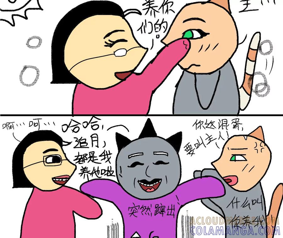 那就一起生活吧~-女作家的猫飞狗跳-苏追月（第4张）