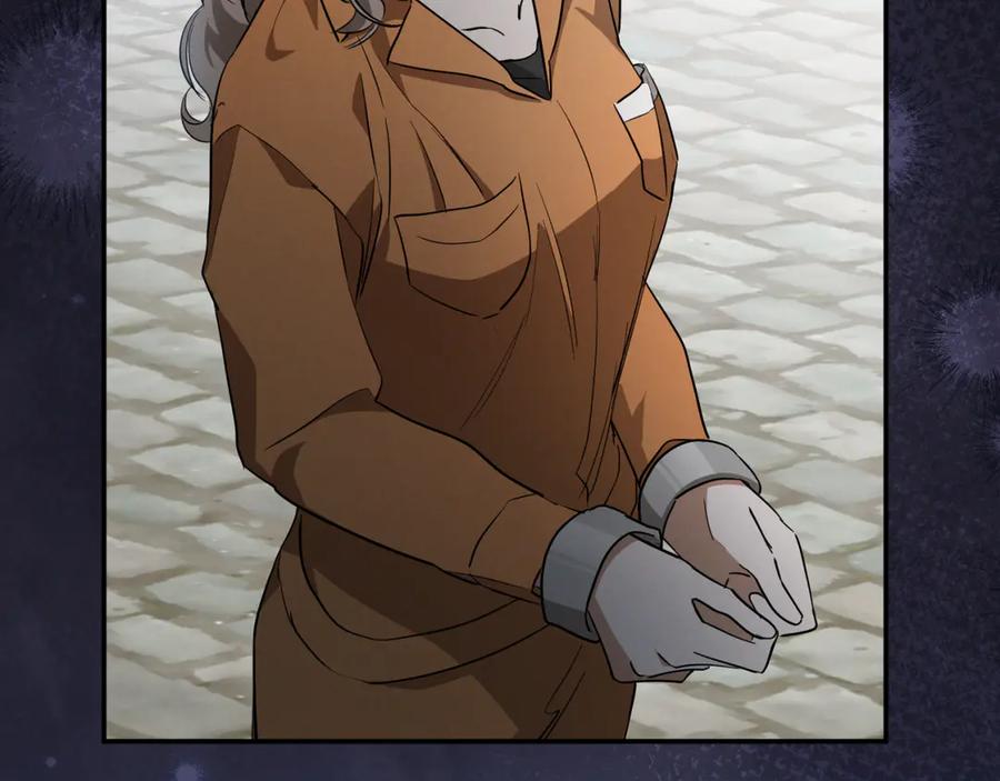 244.jpg