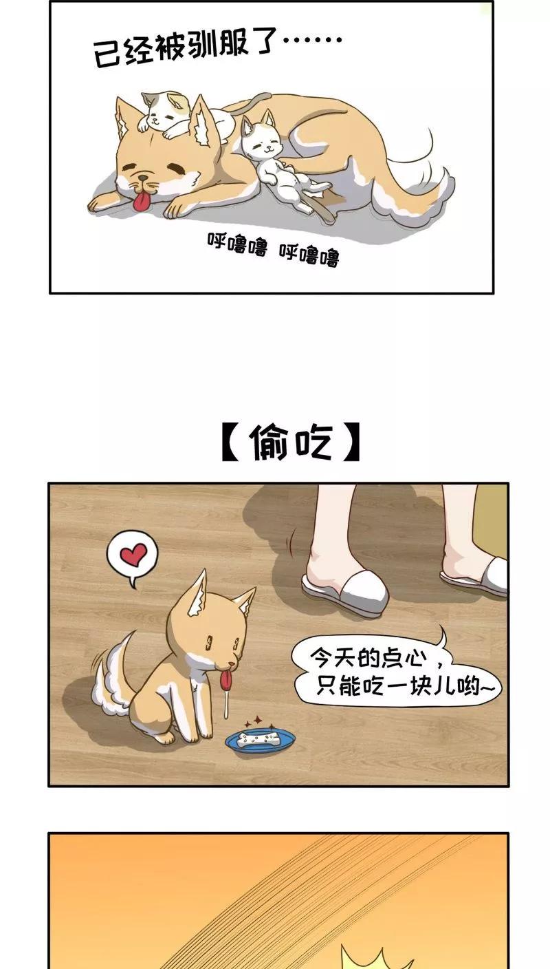 第11话-欧气人生-凤凰动漫（第12张）