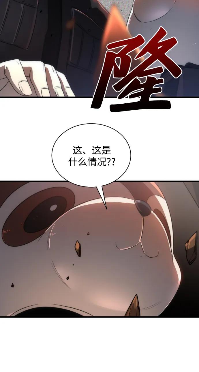 47.jpg
