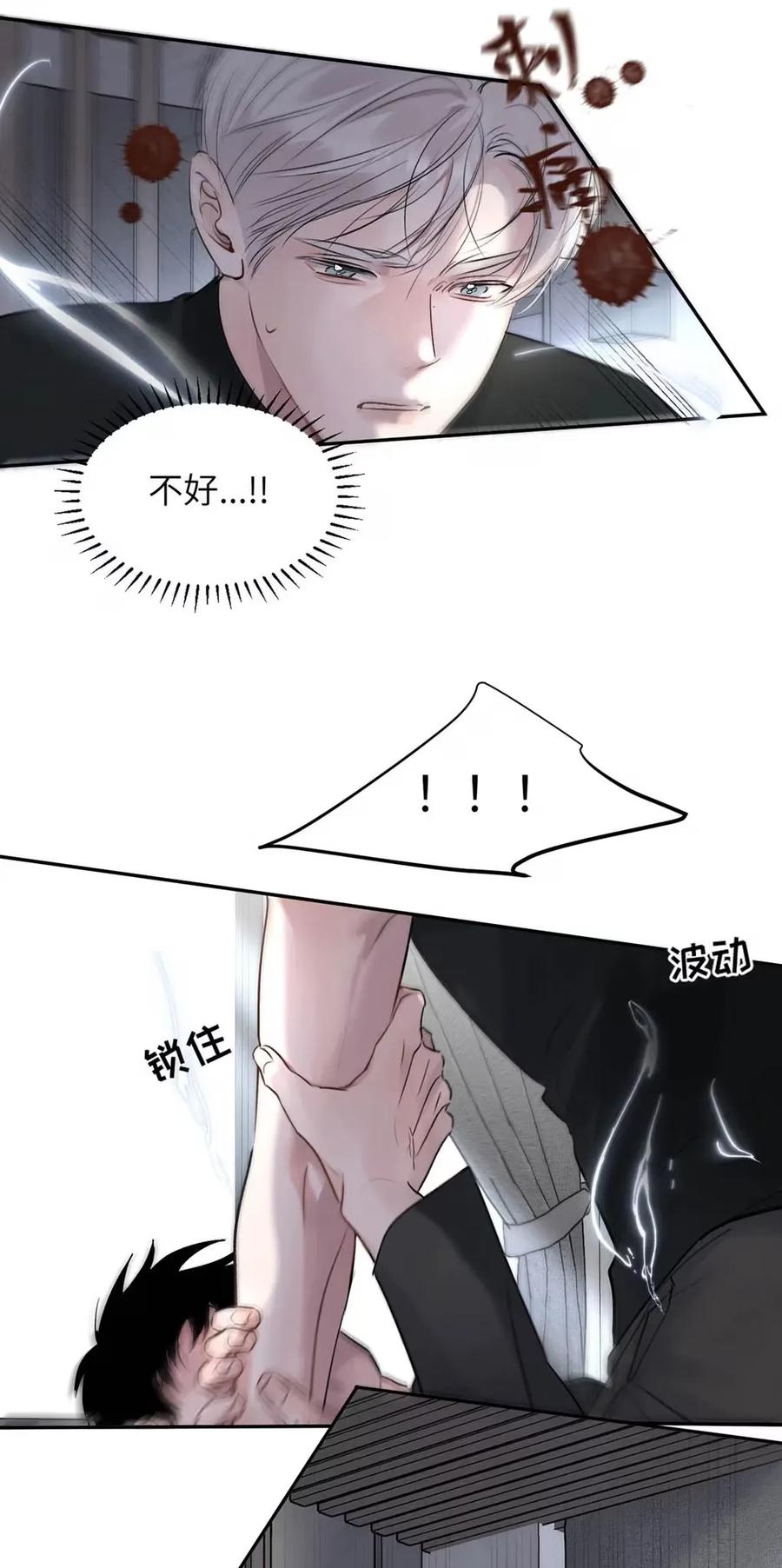 41.jpg