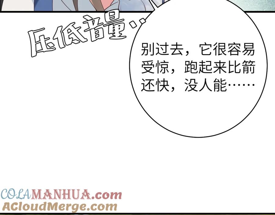 70.jpg