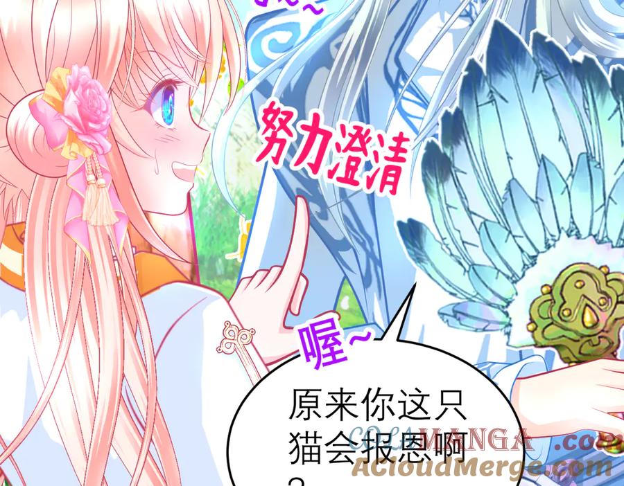 177才16歲？！我以为你比我大~~！-恋上月夜花蝶(新)-茶茶猫秦仪（第6张）