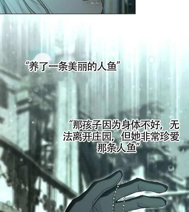 62.jpg