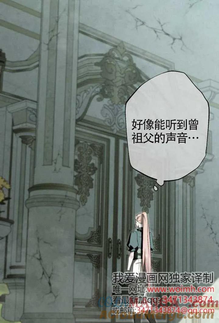 51.jpg