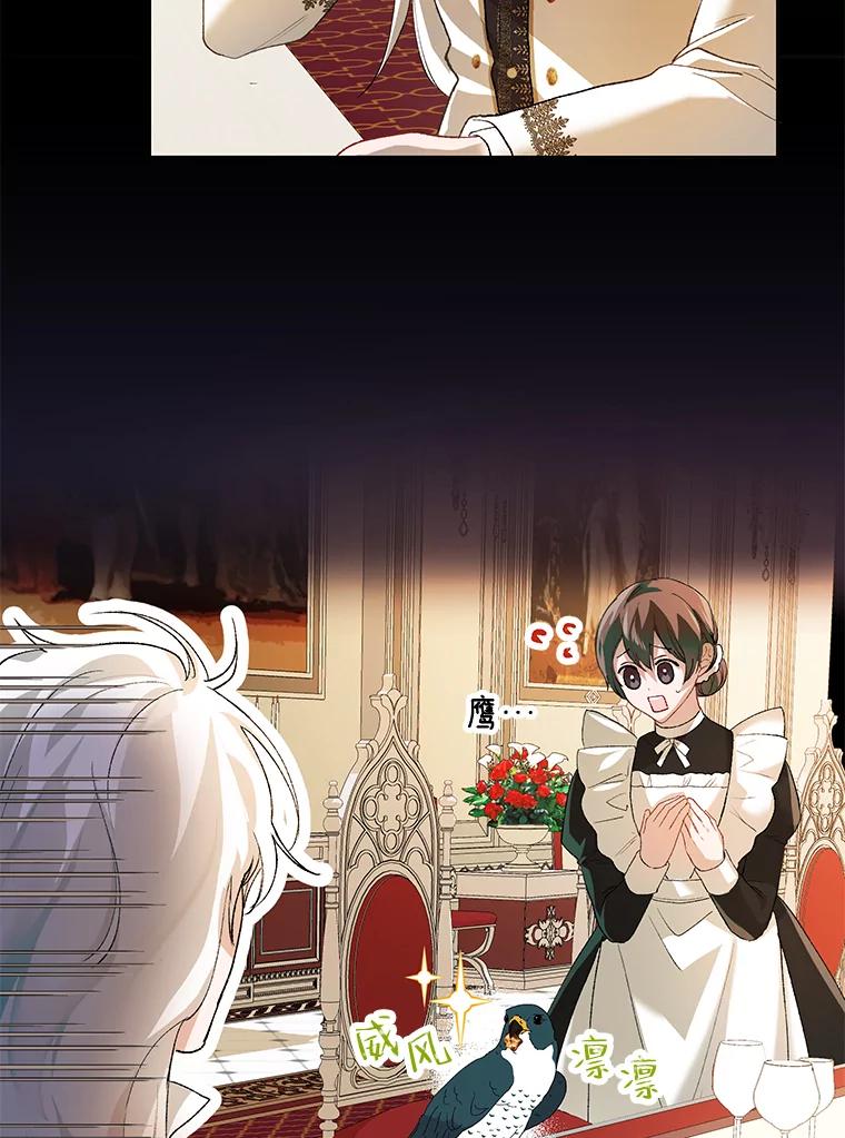 48.jpg