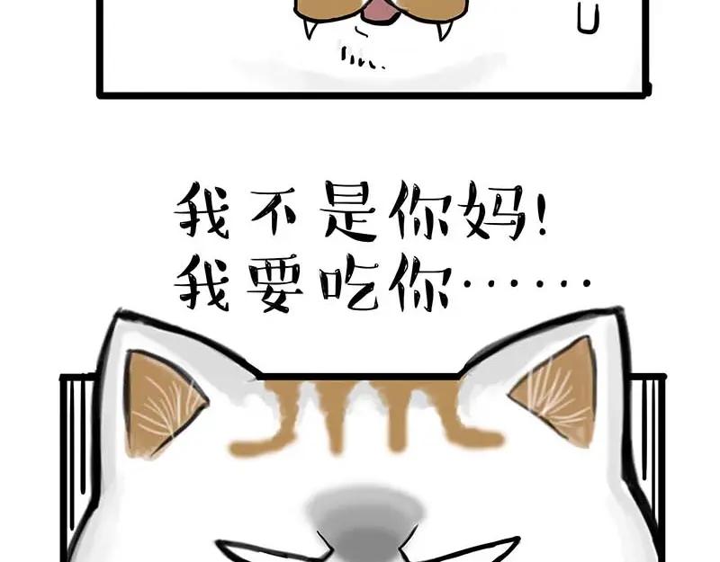 48.jpg