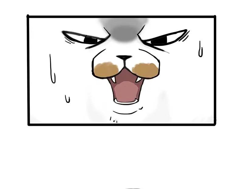 51.jpg