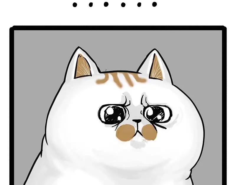 53.jpg