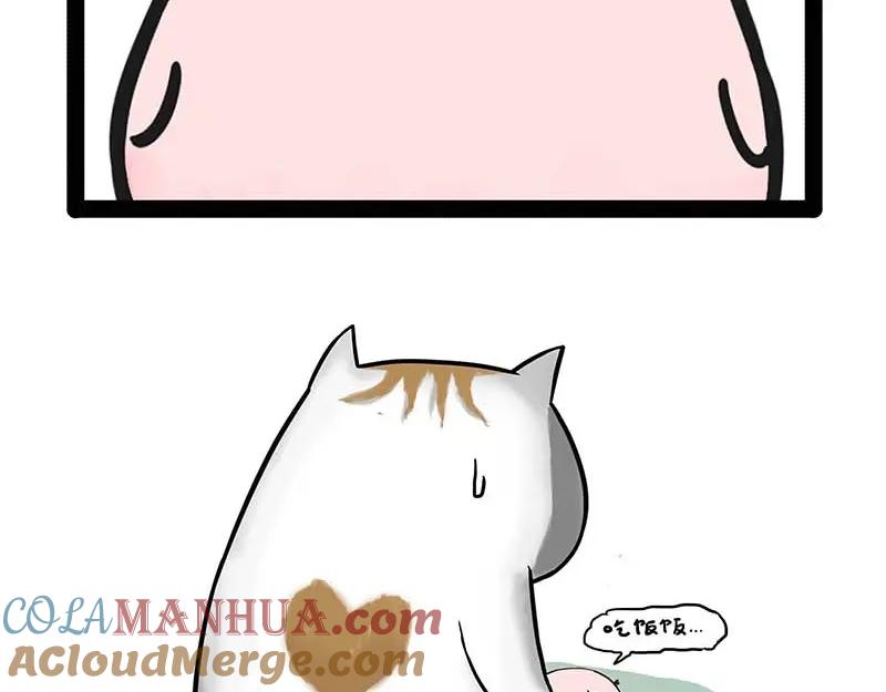 55.jpg