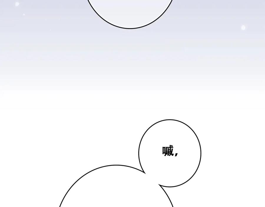 142.jpg