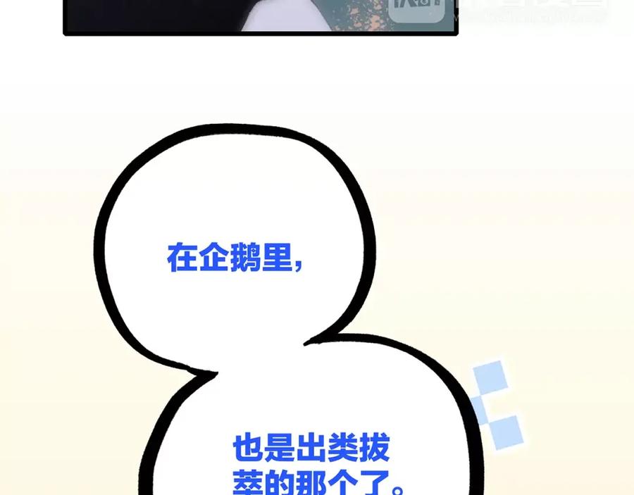 96.jpg