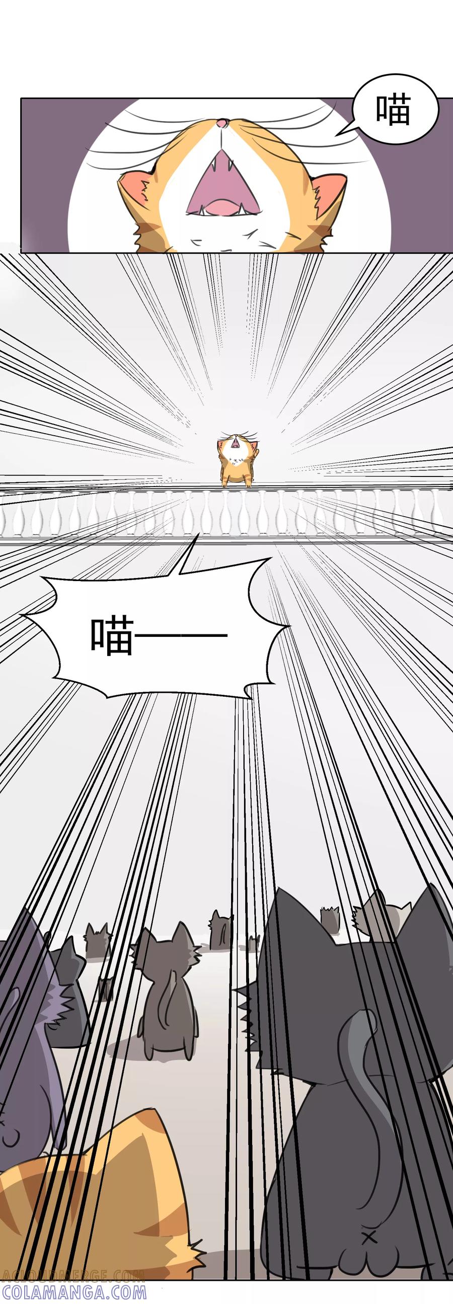 第15话-猫的制作人-极漫文化（第4张）