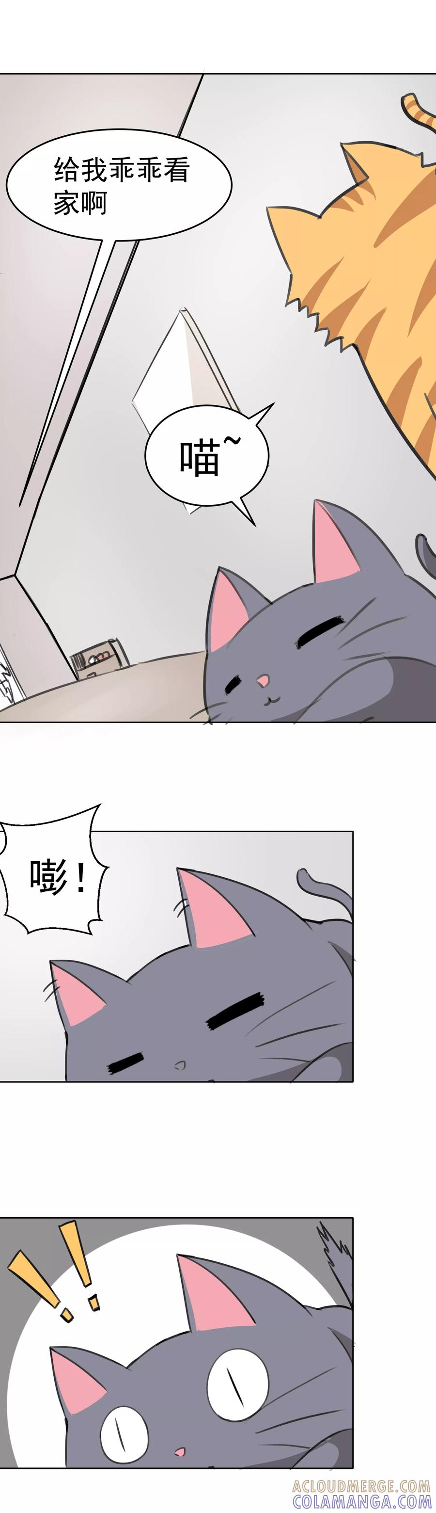 第15话-猫的制作人-极漫文化（第3张）