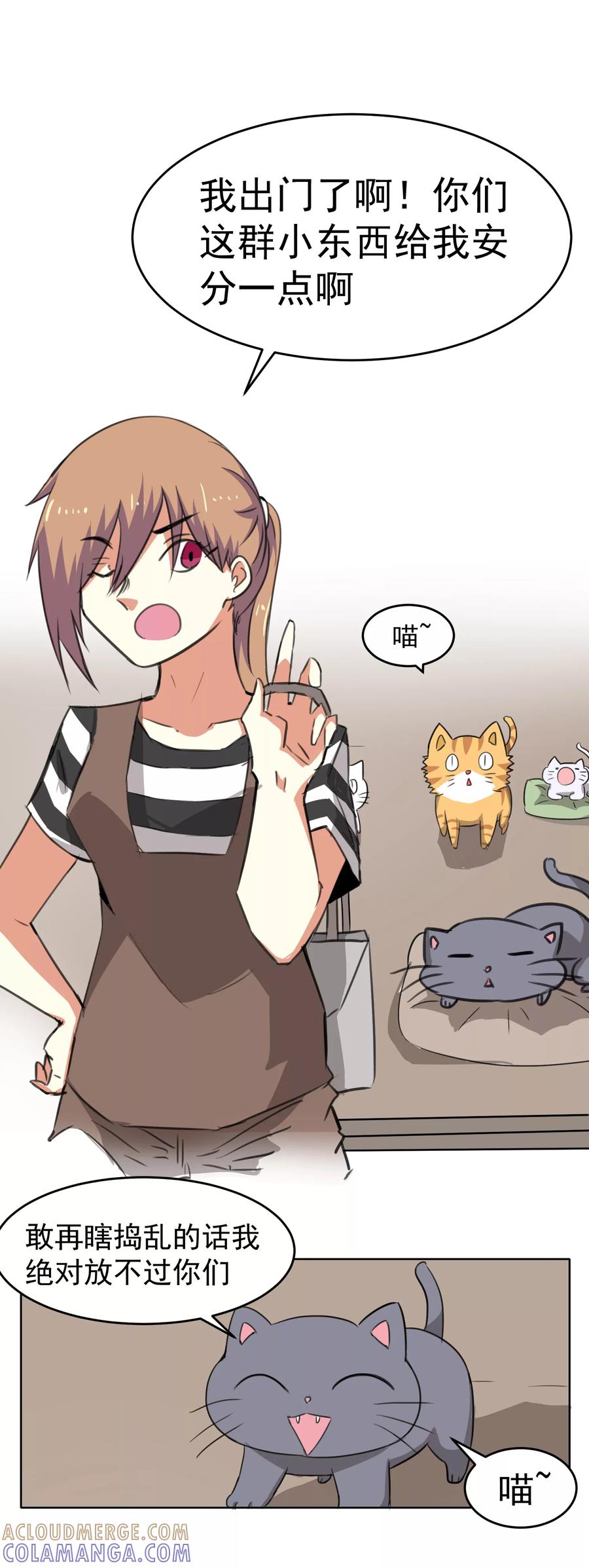 第15话-猫的制作人-极漫文化（第2张）