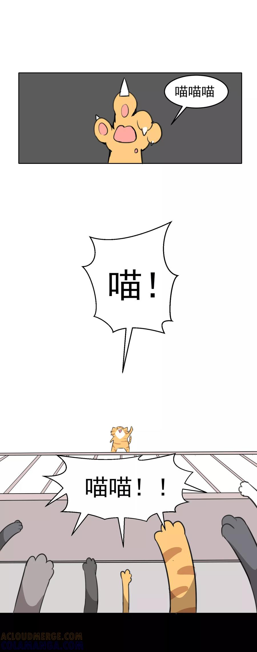 第15话-猫的制作人-极漫文化（第5张）
