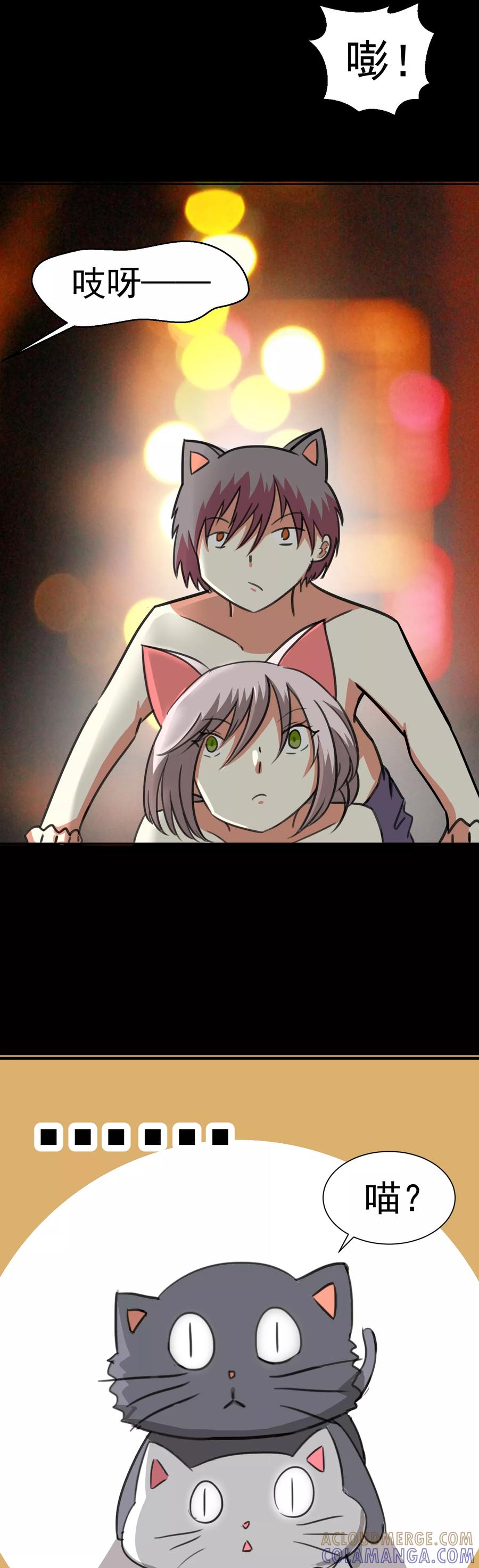 第15话-猫的制作人-极漫文化（第11张）