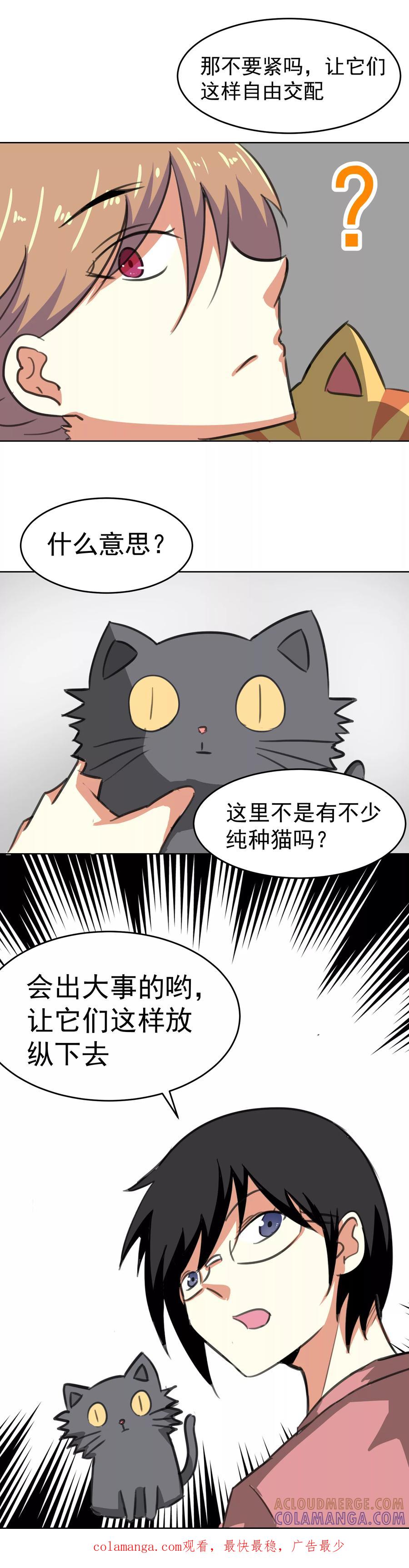第16话-猫的制作人-极漫文化（第11张）