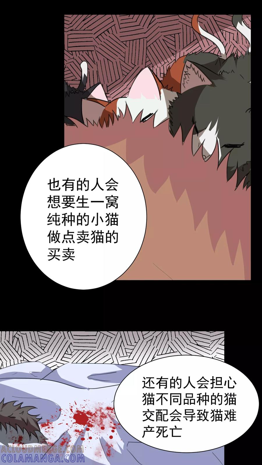 第17话-猫的制作人-极漫文化（第5张）