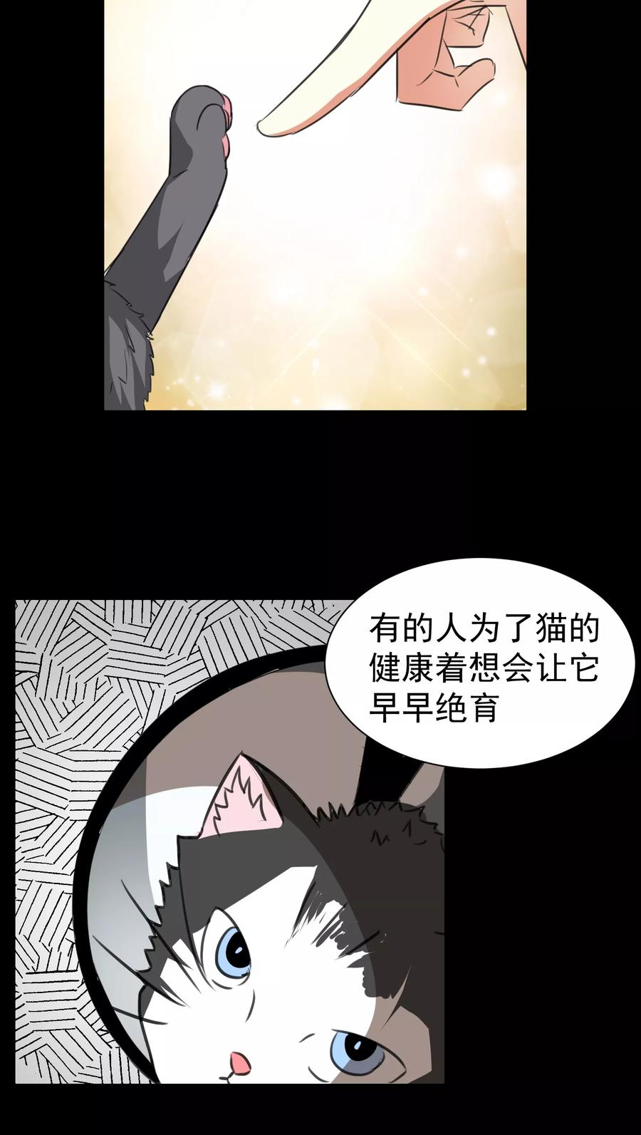 第17话-猫的制作人-极漫文化（第4张）