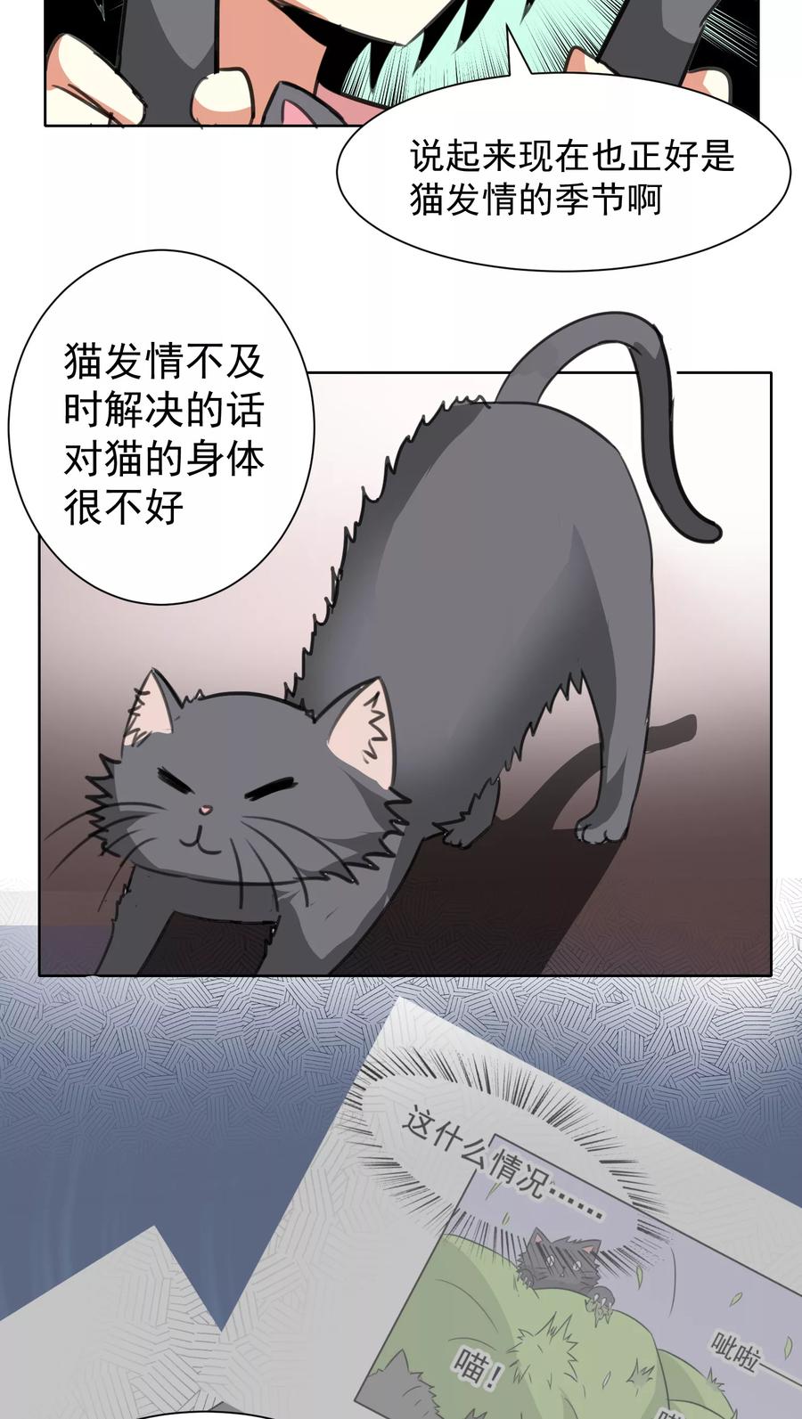 第17话-猫的制作人-极漫文化（第8张）