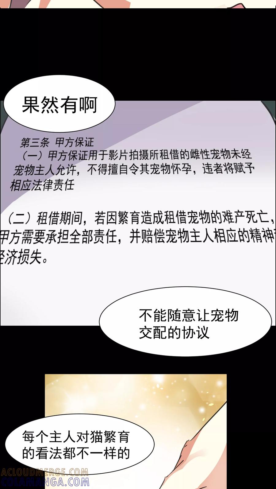 第17话-猫的制作人-极漫文化（第3张）