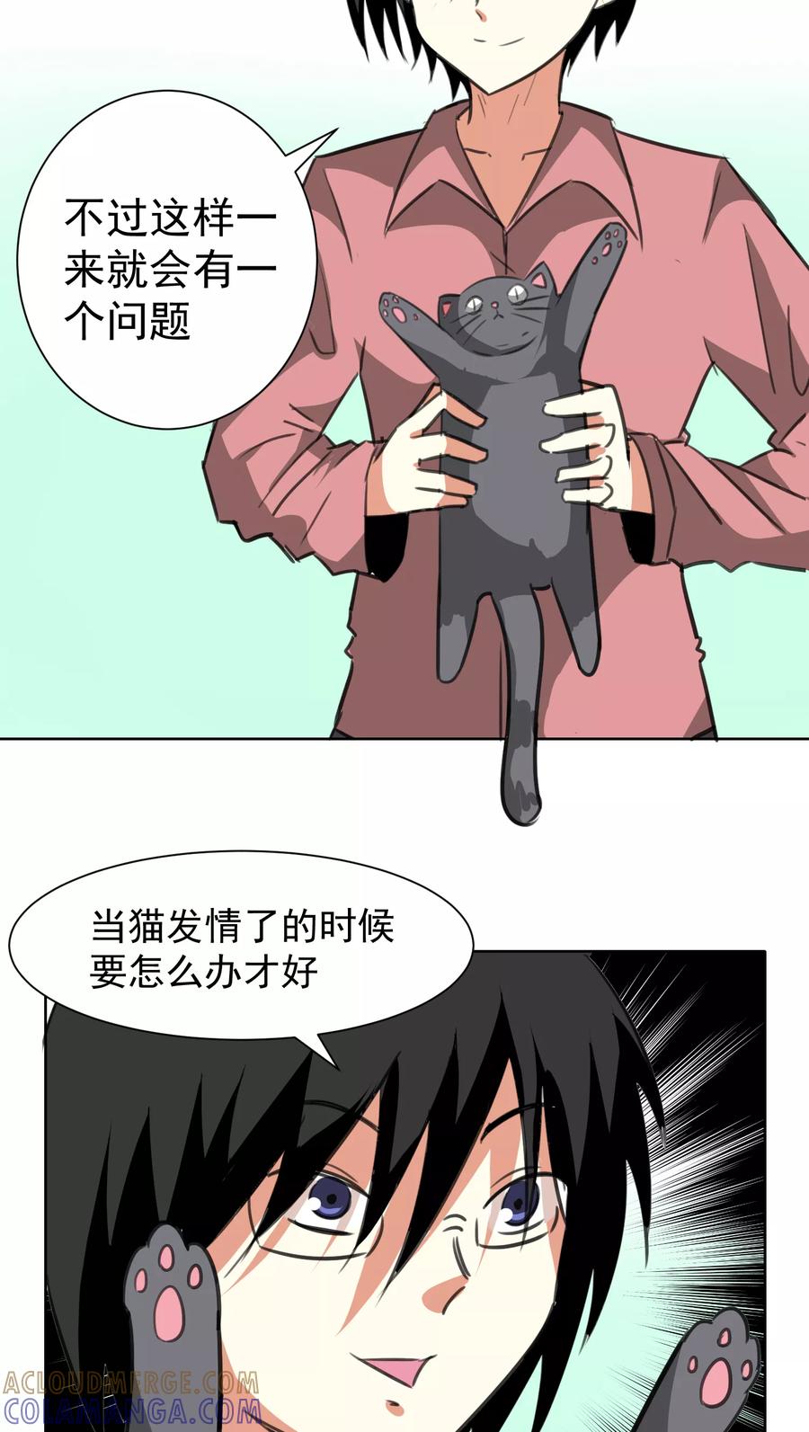 第17话-猫的制作人-极漫文化（第7张）