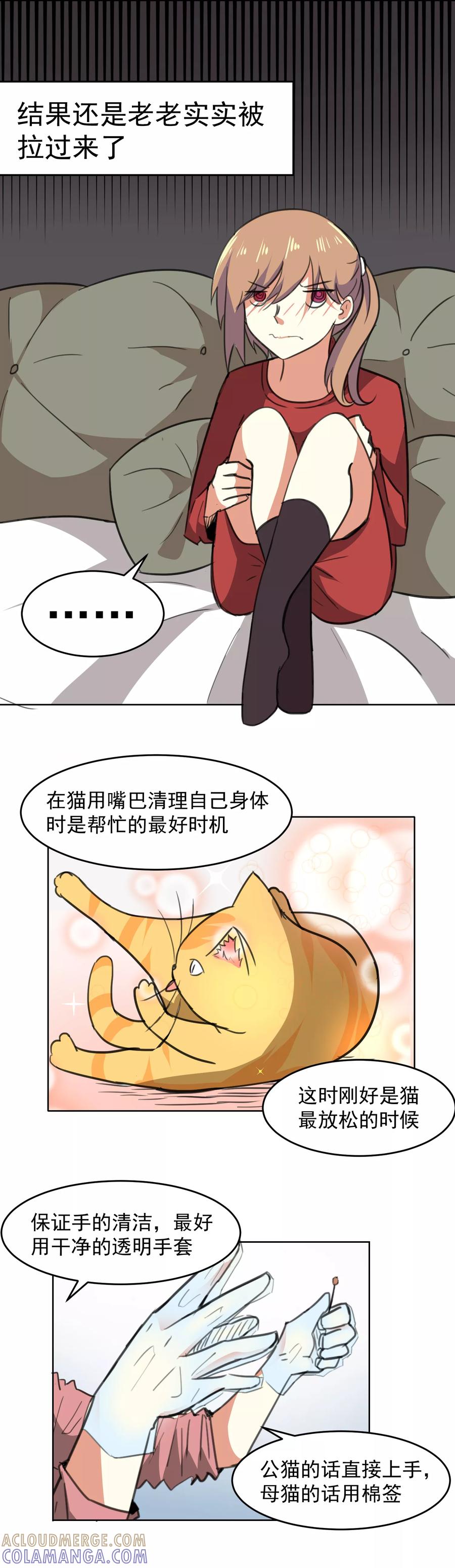 第18话-猫的制作人-极漫文化（第4张）