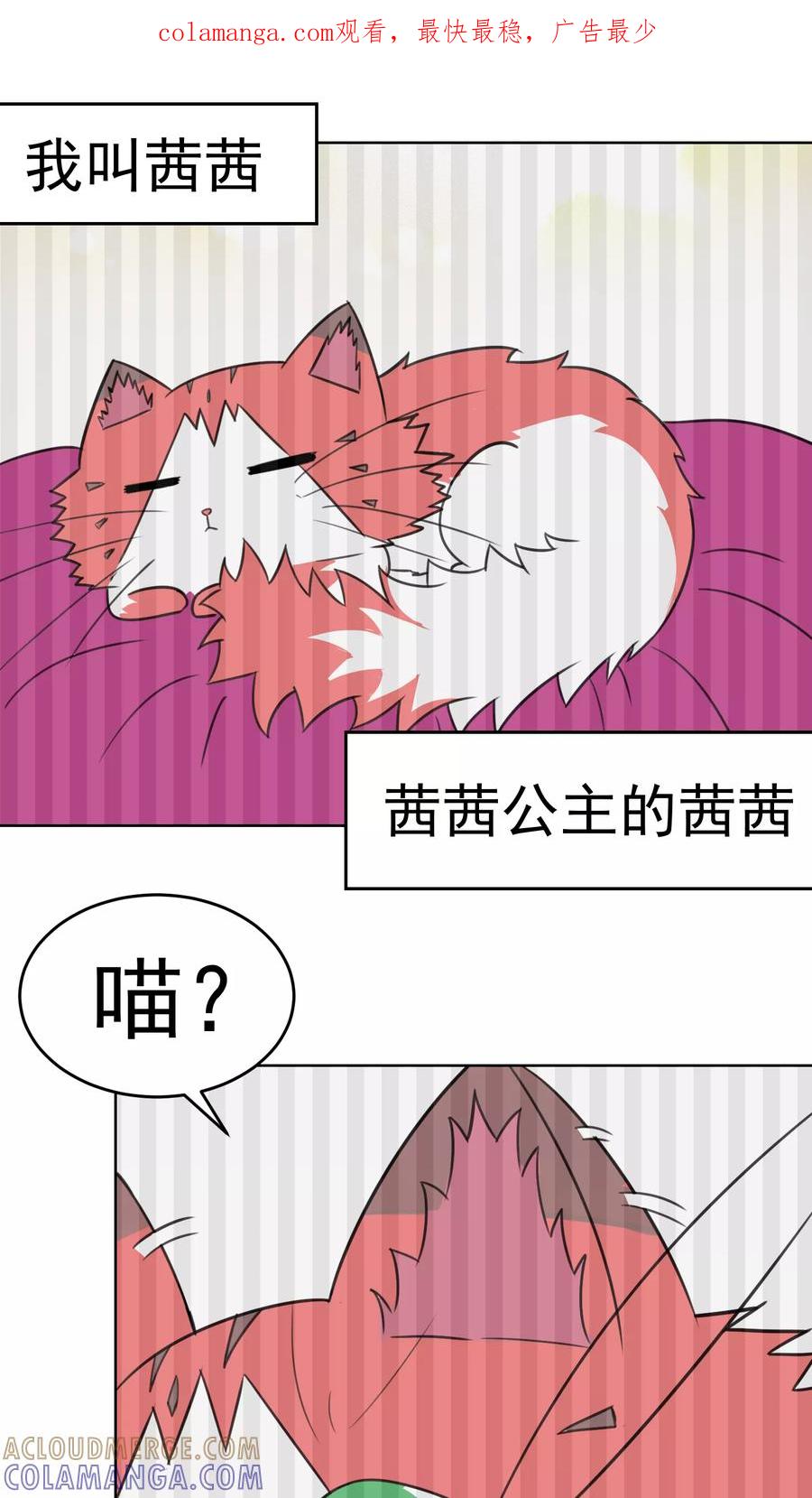 第27话-猫的制作人-极漫文化（第1张）