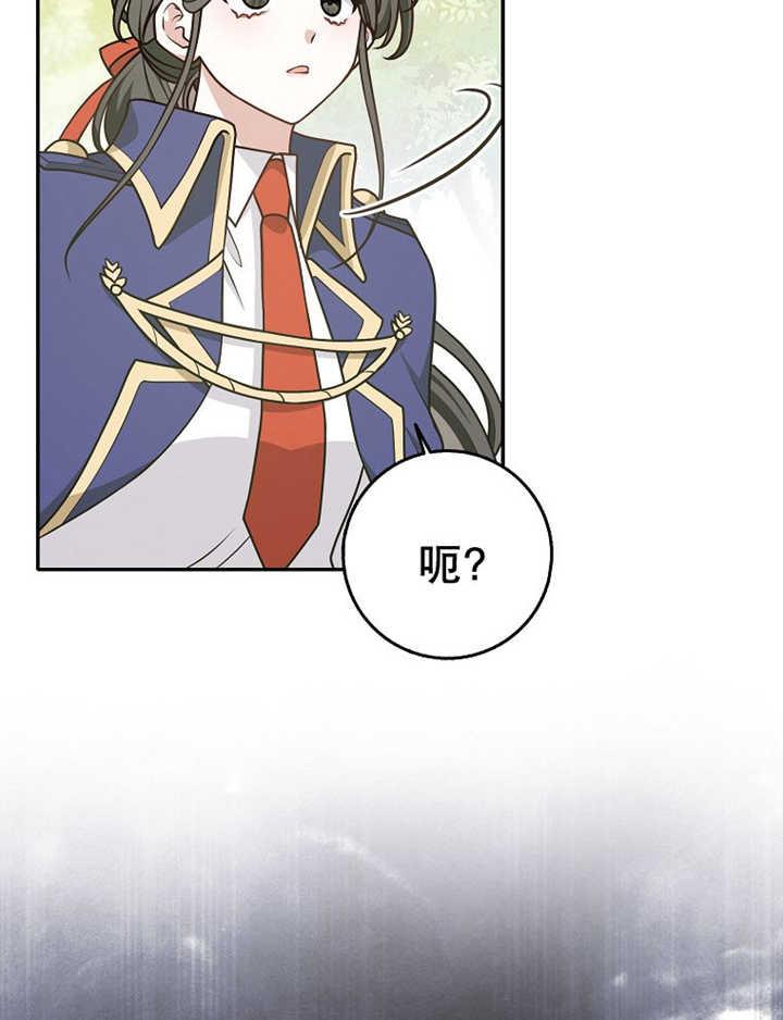 40.jpg