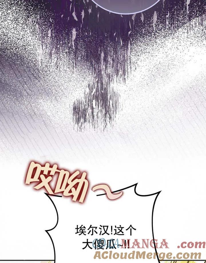 113.jpg