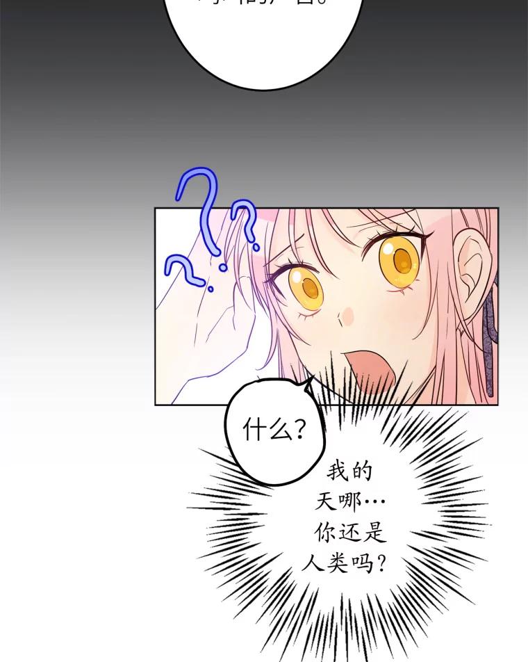60.jpg