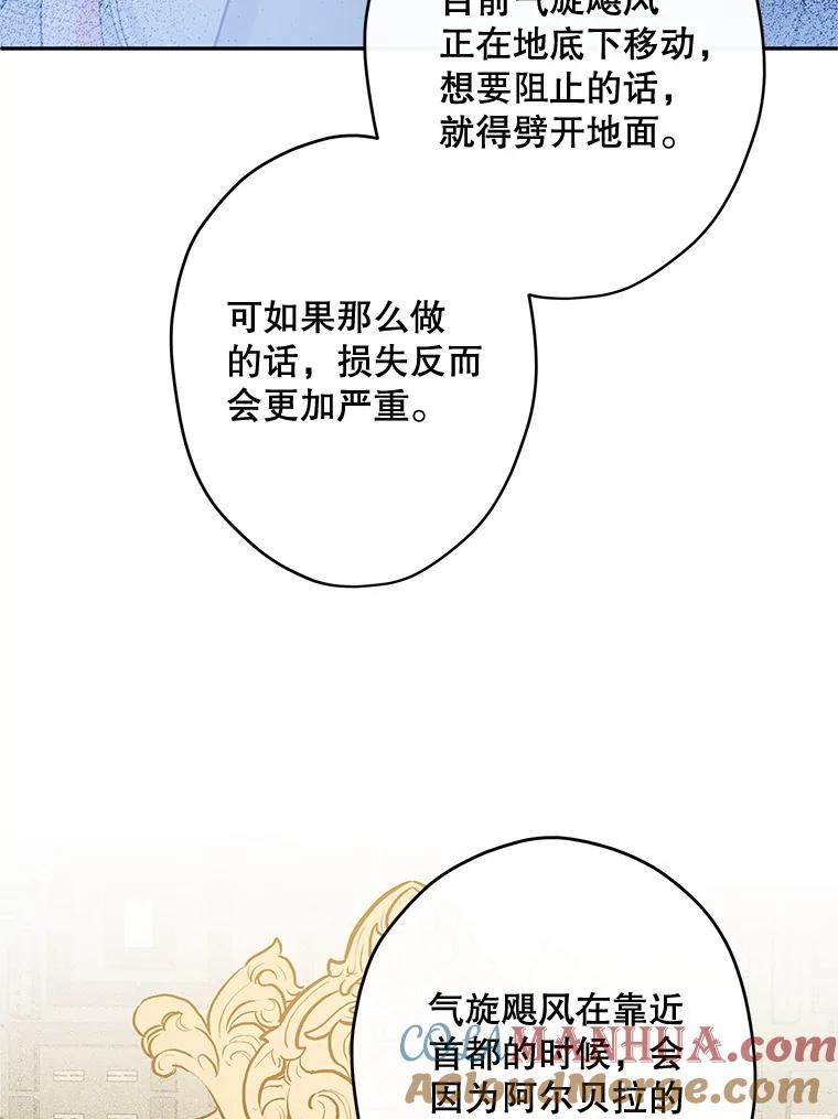 113.jpg