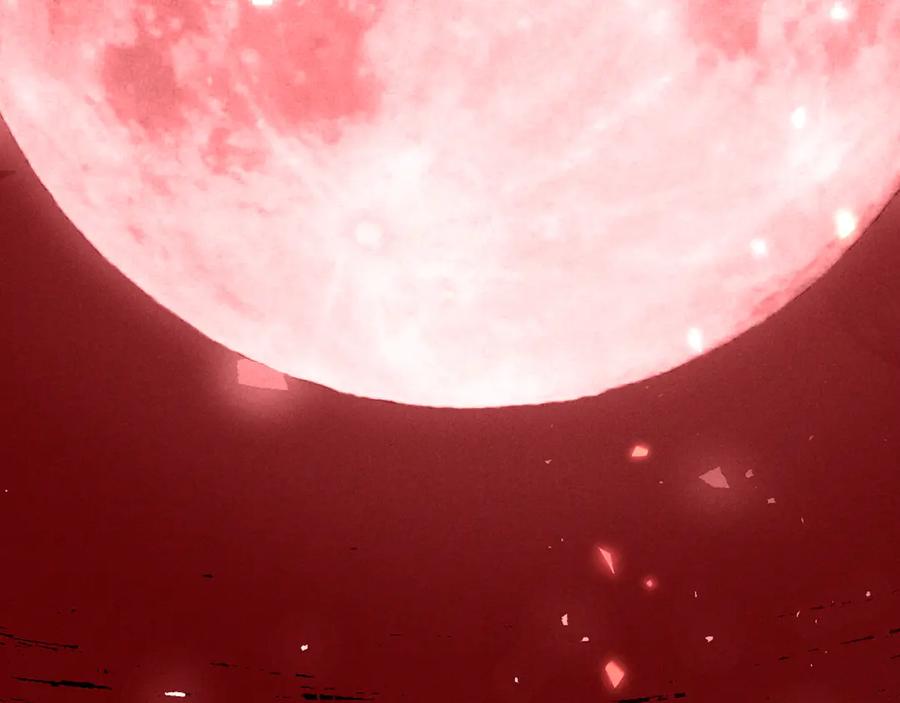 115.jpg