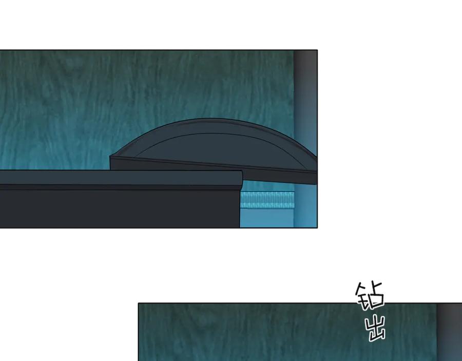 71.jpg