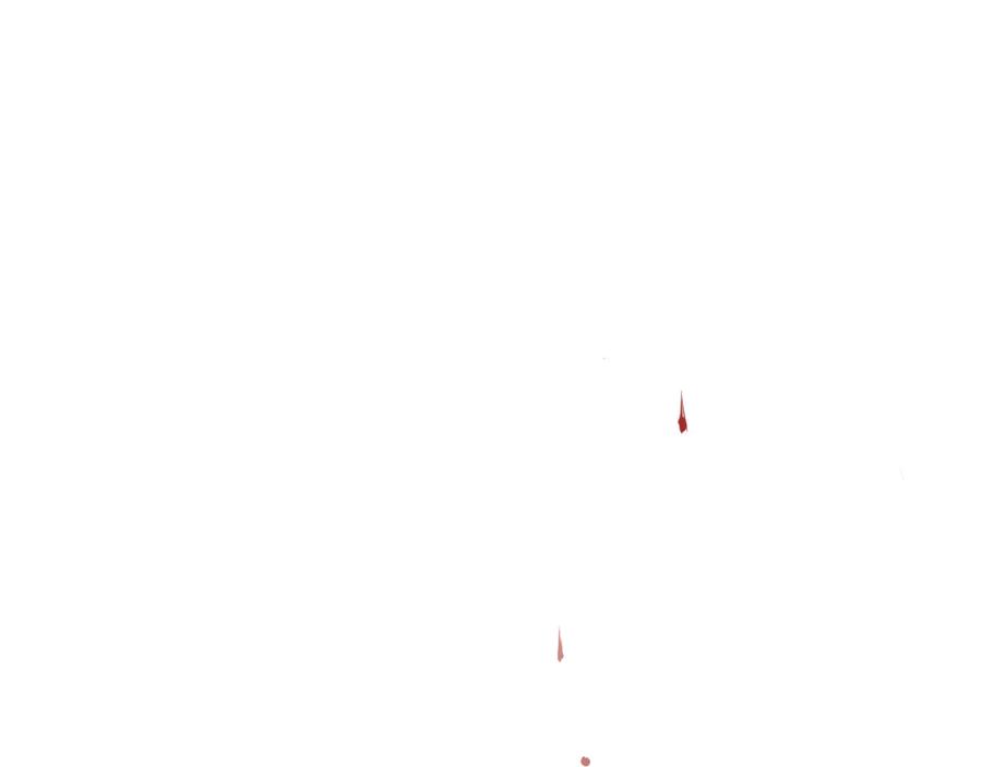 95.jpg