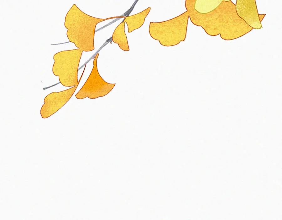 95.jpg