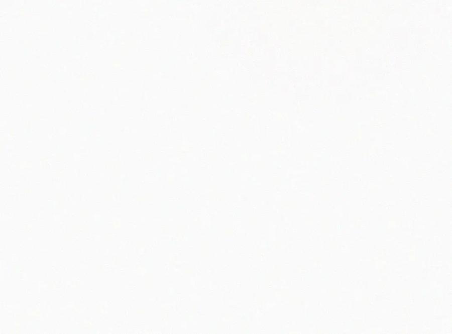 96.jpg