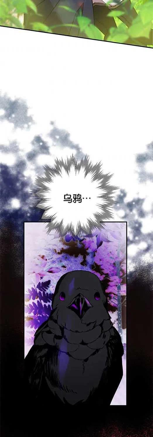 第02话-偏偏是成为了乌鸦-（第3张）