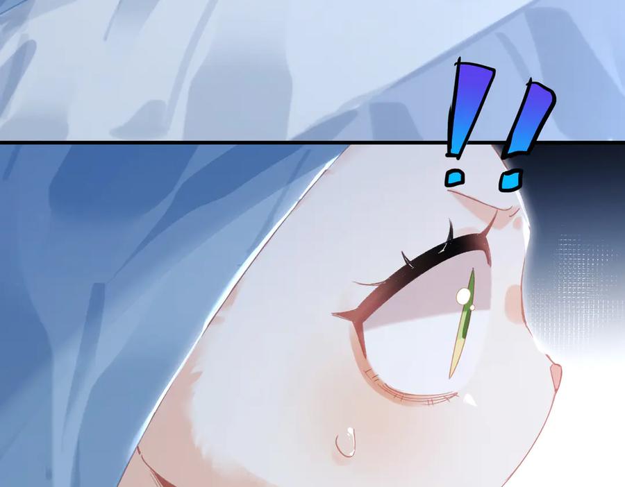 66.jpg
