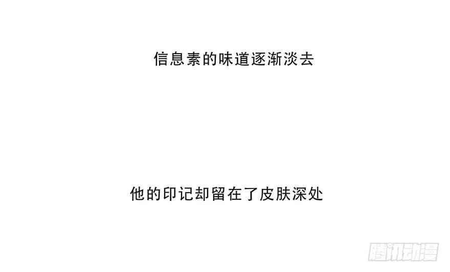 迟开之花（八）-风信花-麟琅工作室（第2张）