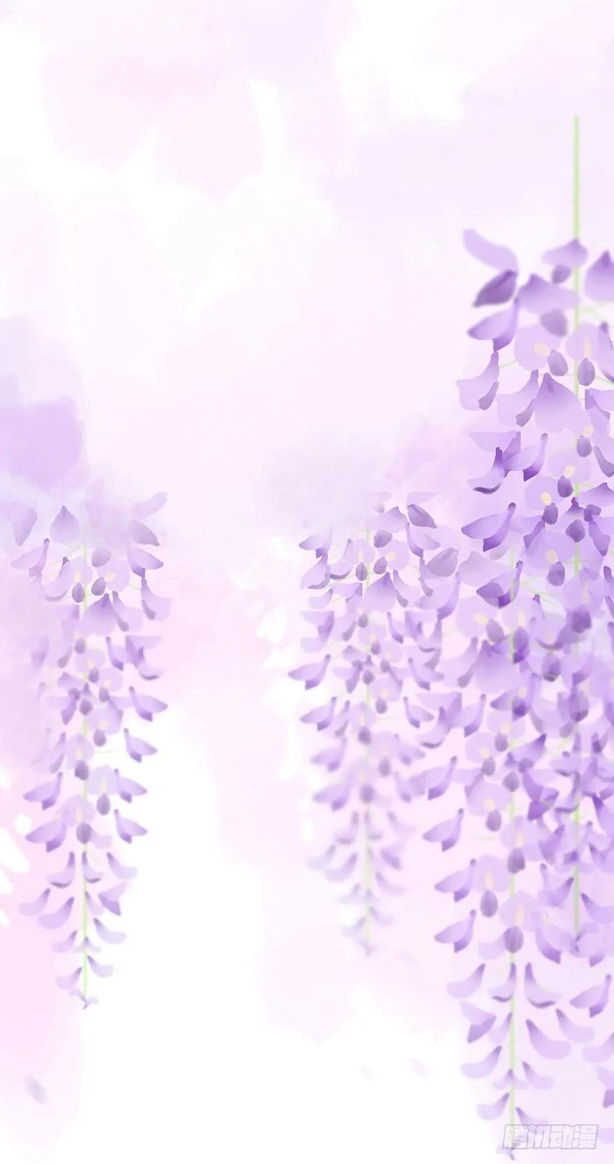 迟开之花（三）-风信花-麟琅工作室（第1张）