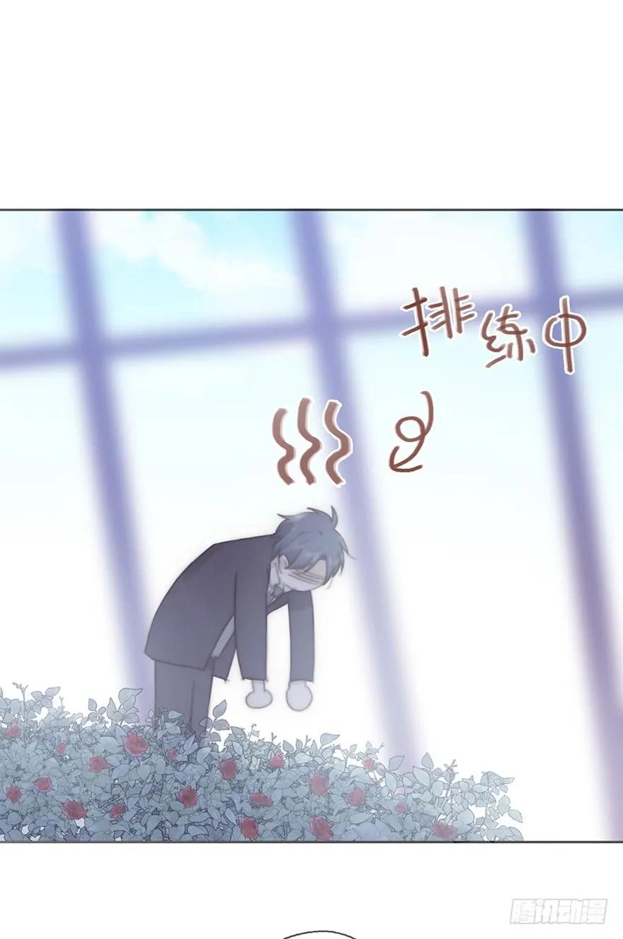 我的美人（十七）-风信花-麟琅工作室（第16张）